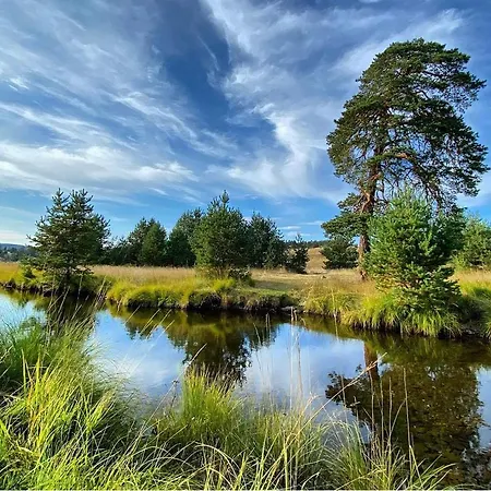 Carna Ζλάτιμπορ