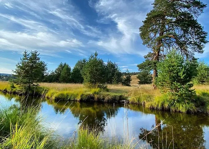 Carna Златибор